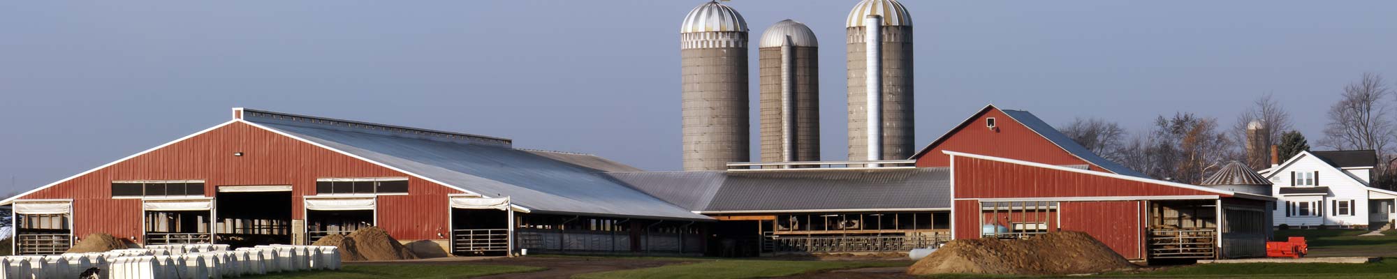 Dairy farm with red barn, white house, calf hutches, and machinery in the yard